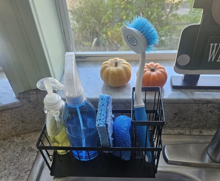 Foodie Mob Kitchen Find: The Little Organizer That Cleaned Up Our Sink